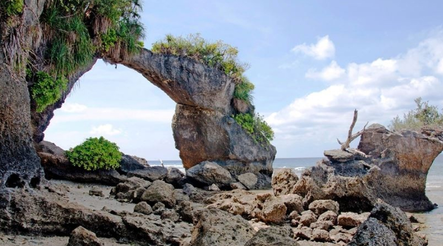 Neil Island – Neil Island